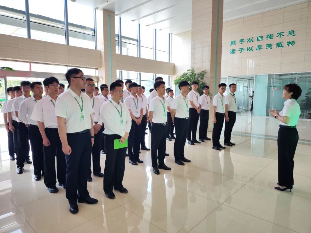 凯时KB88·(中国区)官方网站