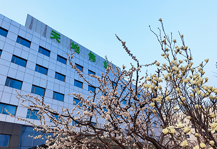 凯时KB88·(中国区)官方网站