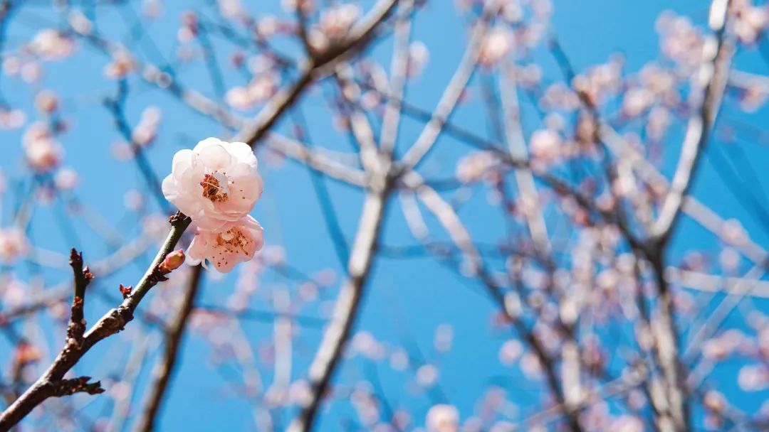 凯时KB88·(中国区)官方网站